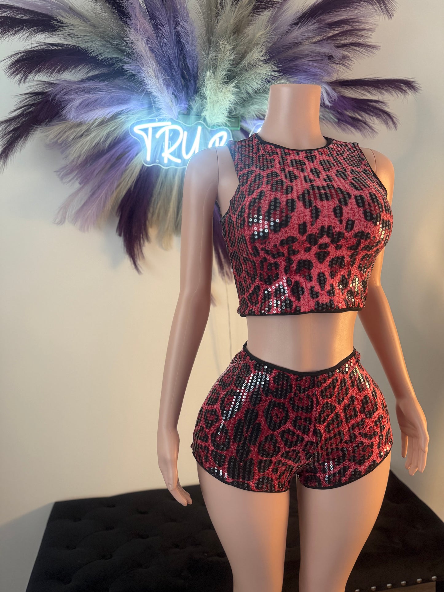 Flashy Feline Short Set