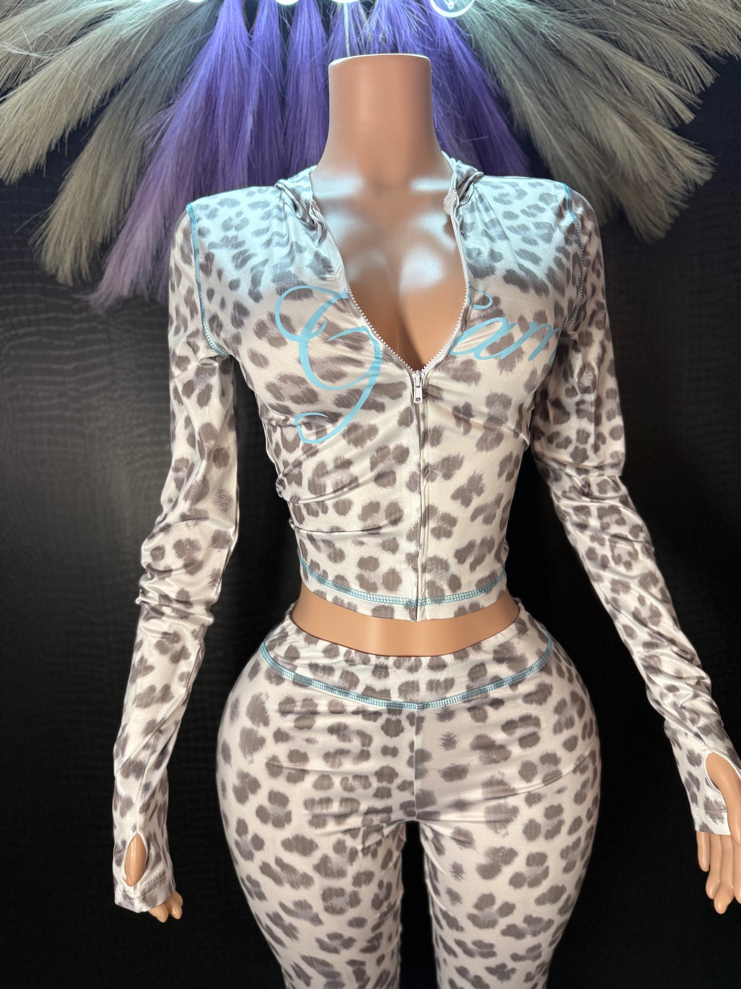 Leopard Print Baddie 2 Pc Set